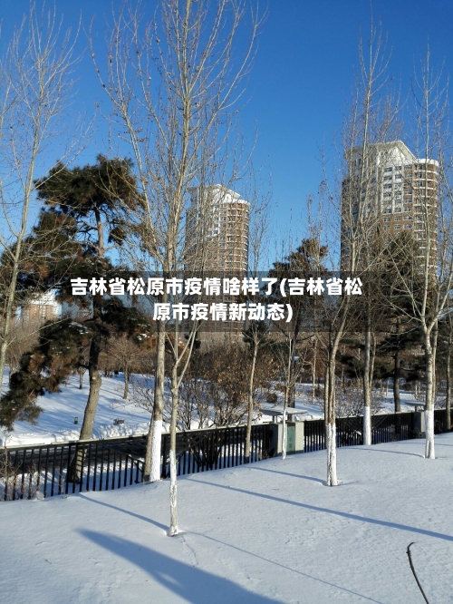 吉林省松原市疫情啥样了(吉林省松原市疫情新动态)-第1张图片