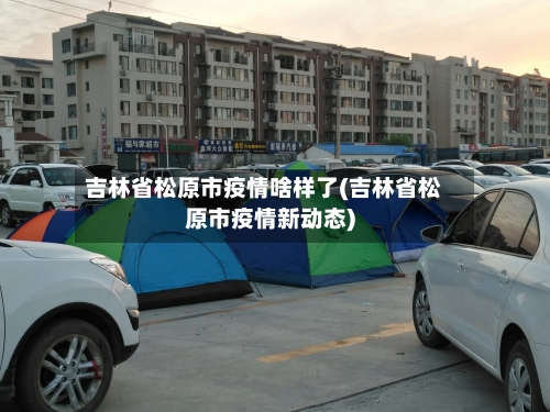 吉林省松原市疫情啥样了(吉林省松原市疫情新动态)-第2张图片