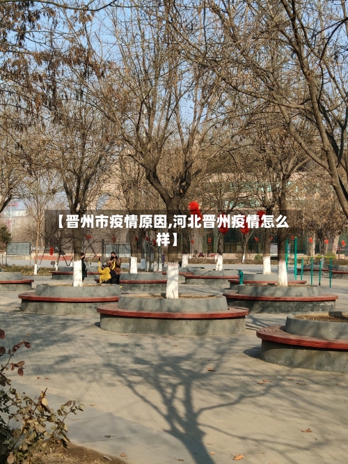 【晋州市疫情原因,河北晋州疫情怎么样】-第2张图片
