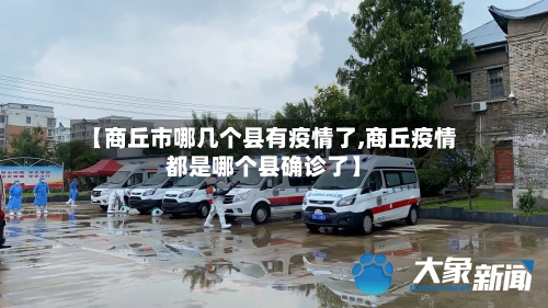 【商丘市哪几个县有疫情了,商丘疫情都是哪个县确诊了】-第2张图片
