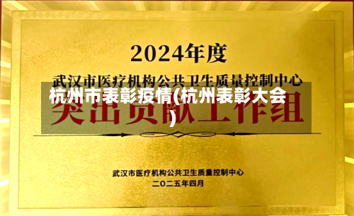 杭州市表彰疫情(杭州表彰大会)-第3张图片