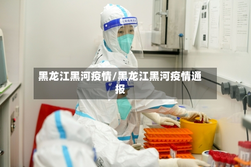 黑龙江黑河疫情/黑龙江黑河疫情通报-第2张图片