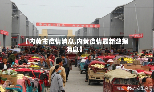 【内黄市疫情消息,内黄疫情最新数据消息】-第3张图片