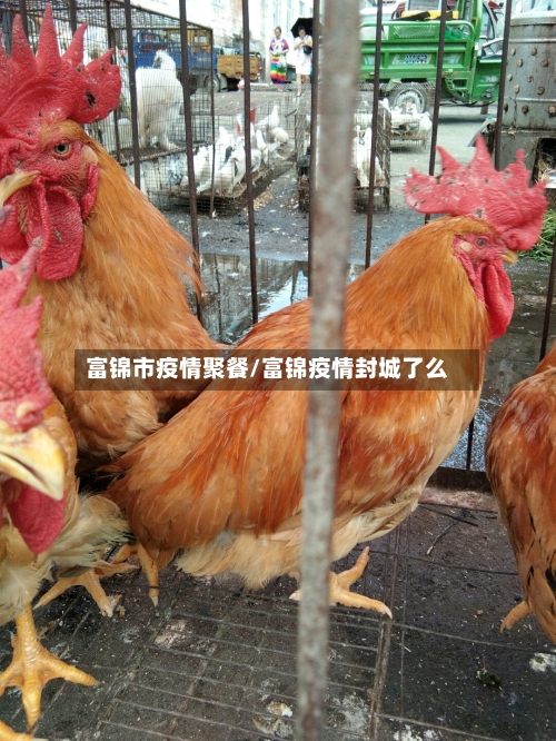富锦市疫情聚餐/富锦疫情封城了么-第2张图片