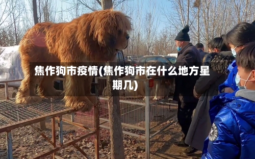 焦作狗市疫情(焦作狗市在什么地方星期几)-第3张图片