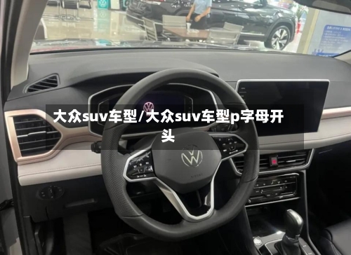 大众suv车型/大众suv车型p字母开头-第3张图片