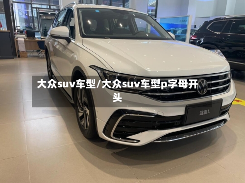 大众suv车型/大众suv车型p字母开头-第1张图片