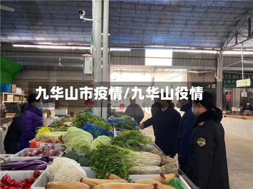九华山市疫情/九华山役情-第2张图片