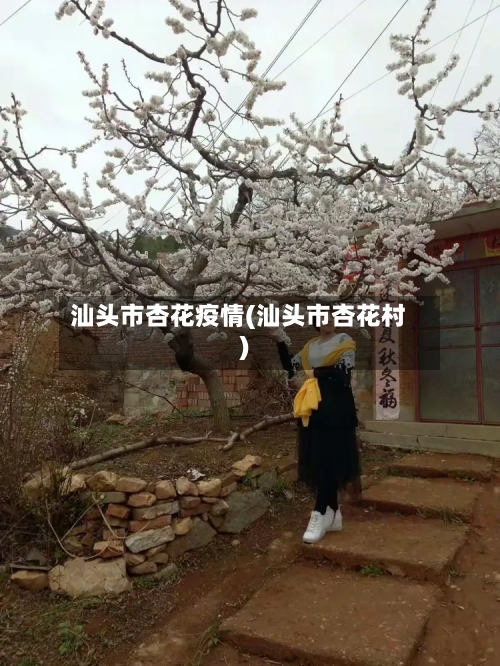 汕头市杏花疫情(汕头市杏花村)-第1张图片