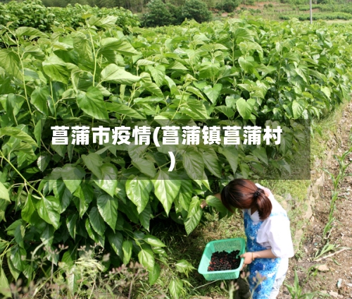 菖蒲市疫情(菖蒲镇菖蒲村)-第1张图片