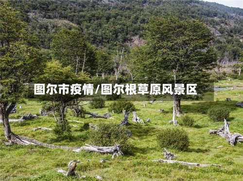 图尔市疫情/图尔根草原风景区-第3张图片