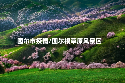 图尔市疫情/图尔根草原风景区-第1张图片