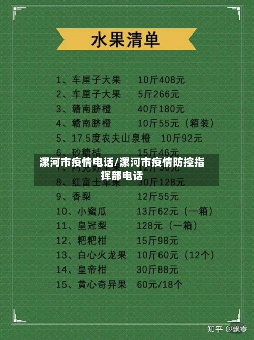 漯河市疫情电话/漯河市疫情防控指挥部电话-第2张图片