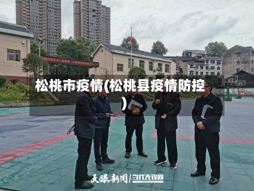 松桃市疫情(松桃县疫情防控)-第2张图片