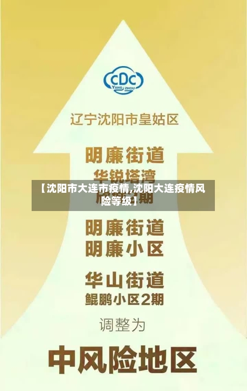 【沈阳市大连市疫情,沈阳大连疫情风险等级】-第2张图片