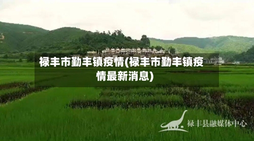 禄丰市勤丰镇疫情(禄丰市勤丰镇疫情最新消息)-第1张图片