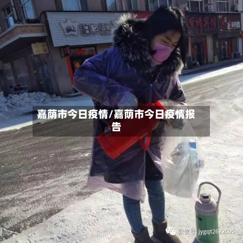 嘉荫市今日疫情/嘉荫市今日疫情报告-第2张图片