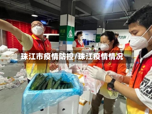 珠江市疫情防控/珠江疫情情况-第2张图片