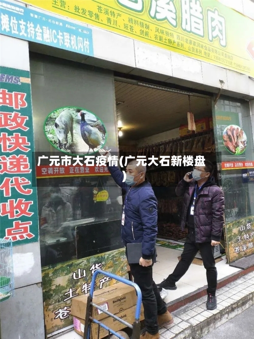 广元市大石疫情(广元大石新楼盘)-第3张图片