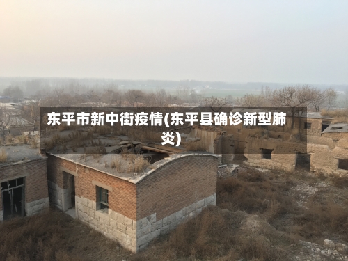东平市新中街疫情(东平县确诊新型肺炎)-第3张图片