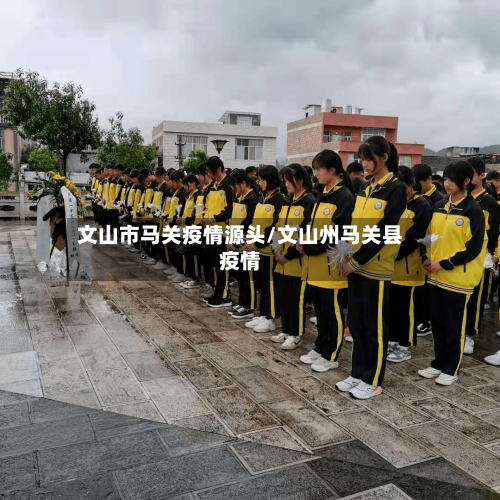 文山市马关疫情源头/文山州马关县疫情-第3张图片