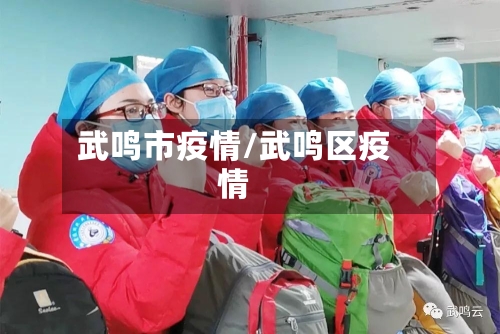 武鸣市疫情/武鸣区疫情-第1张图片