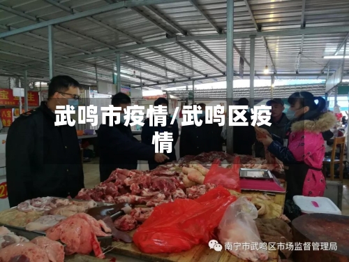 武鸣市疫情/武鸣区疫情-第2张图片