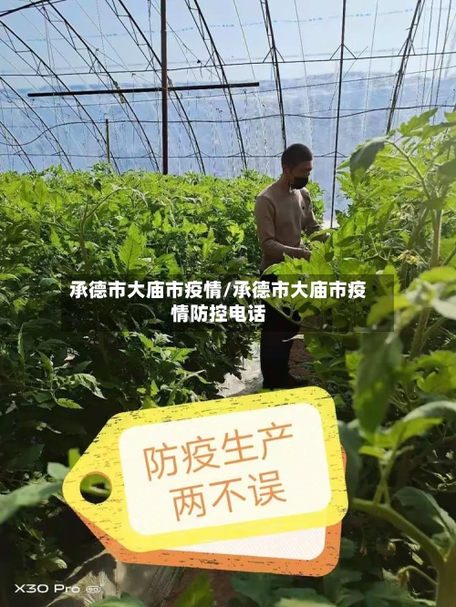 承德市大庙市疫情/承德市大庙市疫情防控电话-第3张图片