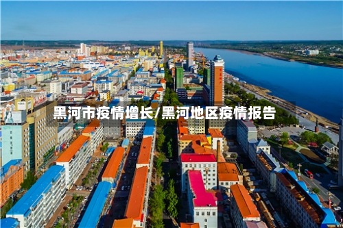 黑河市疫情增长/黑河地区疫情报告-第2张图片
