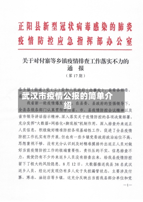 武汉市疫情公报的简单介绍-第1张图片
