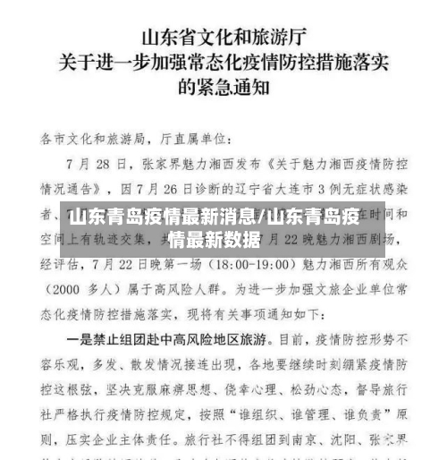 山东青岛疫情最新消息/山东青岛疫情最新数据-第2张图片