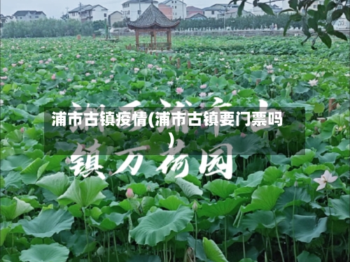 浦市古镇疫情(浦市古镇要门票吗)-第3张图片