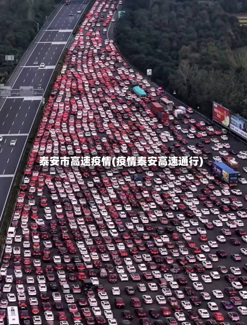 泰安市高速疫情(疫情泰安高速通行)-第1张图片