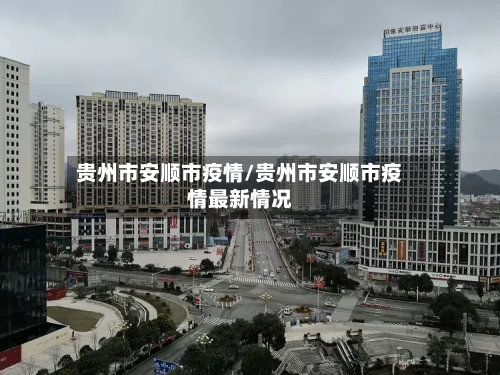 贵州市安顺市疫情/贵州市安顺市疫情最新情况-第2张图片