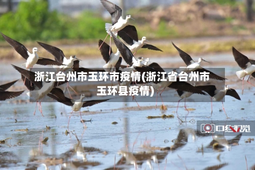 浙江台州市玉环市疫情(浙江省台州市玉环县疫情)-第2张图片