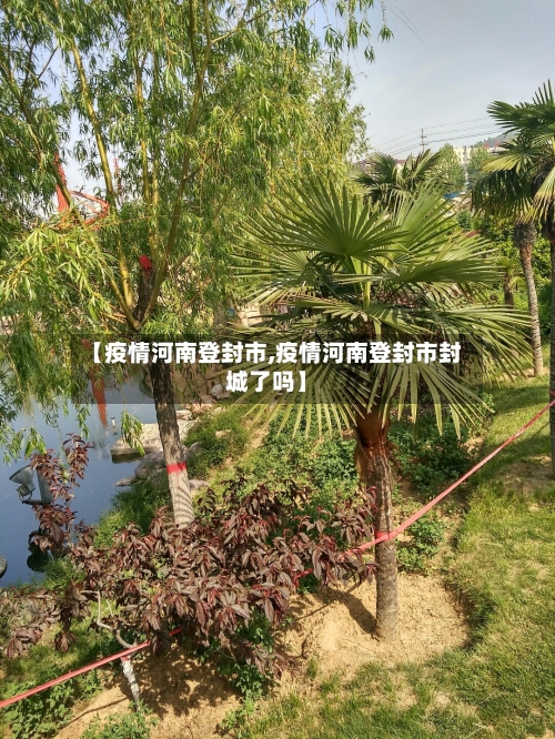 【疫情河南登封市,疫情河南登封市封城了吗】-第2张图片