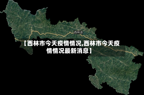 【西林市今天疫情情况,西林市今天疫情情况最新消息】-第2张图片