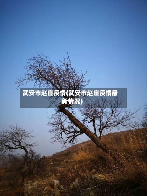 武安市赵庄疫情(武安市赵庄疫情最新情况)-第3张图片