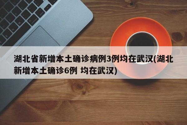 湖北省新增本土确诊病例3例均在武汉(湖北新增本土确诊6例 均在武汉)