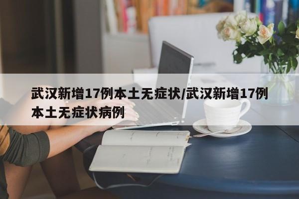 武汉新增17例本土无症状/武汉新增17例本土无症状病例