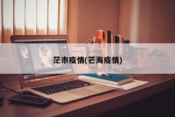 茫市疫情(芒海疫情)