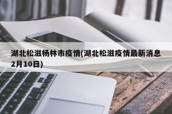 湖北松滋杨林市疫情(湖北松滋疫情最新消息2月10日)