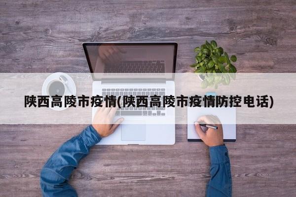 陕西高陵市疫情(陕西高陵市疫情防控电话)