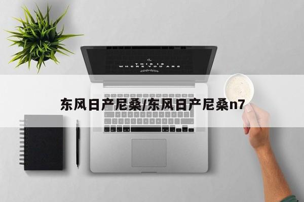 东风日产尼桑/东风日产尼桑n7